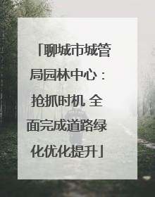 聊城市城管局园林中心：抢抓时机 全面完成道路绿化优化提升