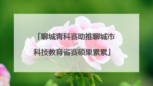 聊城青科赛助推聊城市科技教育省赛硕果累累