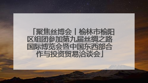聚焦丝博会丨榆林市榆阳区组团参加第九届丝绸之路国际博览会暨中国东西部合作与投资贸易洽谈会