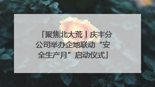 聚焦北大荒丨庆丰分公司举办企地联动“安全生产月”启动仪式