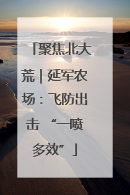聚焦北大荒｜延军农场：飞防出击 “一喷多效”
