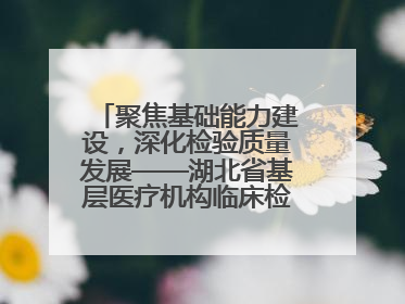聚焦基础能力建设，深化检验质量发展——湖北省基层医疗机构临床检验质量控制培训班（孝感站）成功举办