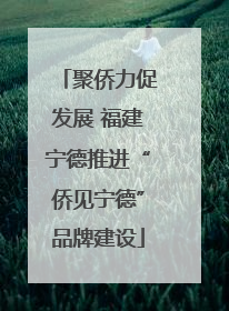 聚侨力促发展 福建宁德推进“侨见宁德”品牌建设