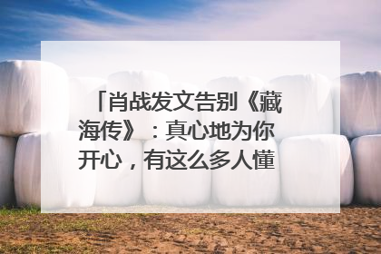 肖战发文告别《藏海传》：真心地为你开心，有这么多人懂你，导演回应“是否有第二季”