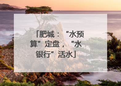 肥城：“水预算”定盘，“水银行”活水