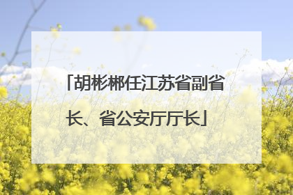 胡彬郴任江苏省副省长、省公安厅厅长