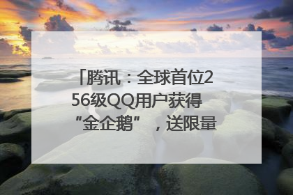 腾讯：全球首位256级QQ用户获得“金企鹅”，送限量版神秘惊喜等礼物