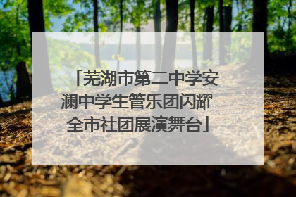 芜湖市第二中学安澜中学生管乐团闪耀全市社团展演舞台