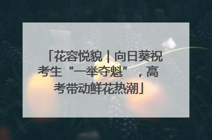 花容悦貌｜向日葵祝考生“一举夺魁”，高考带动鲜花热潮