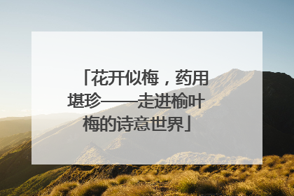花开似梅，药用堪珍——走进榆叶梅的诗意世界