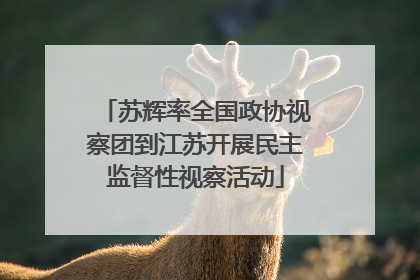 苏辉率全国政协视察团到江苏开展民主监督性视察活动