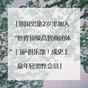 英国男童2岁半加入“世界顶级高智商团体”门萨俱乐部！成史上最年轻男性会员