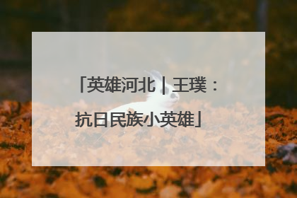 英雄河北｜王璞：抗日民族小英雄