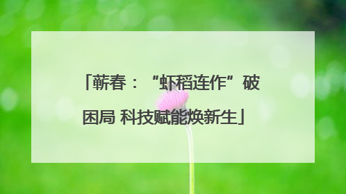 蕲春：“虾稻连作”破困局 科技赋能焕新生