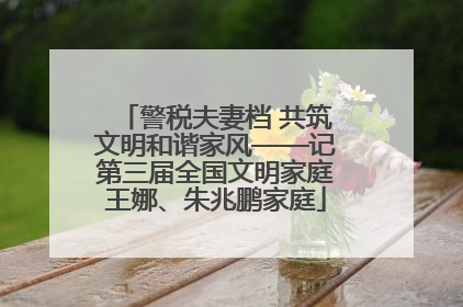 警税夫妻档 共筑文明和谐家风——记第三届全国文明家庭王娜、朱兆鹏家庭