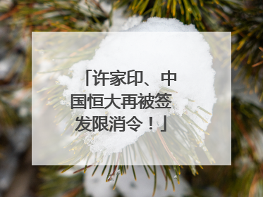 许家印、中国恒大再被签发限消令！