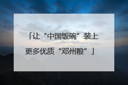 让“中国饭碗”装上更多优质“邓州粮”