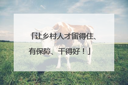 让乡村人才留得住、有保障、干得好！