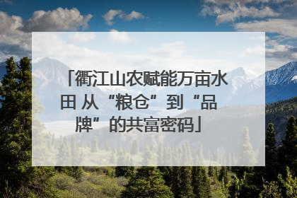 衢江山农赋能万亩水田 从“粮仓”到“品牌”的共富密码