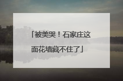 被美哭！石家庄这面花墙藏不住了