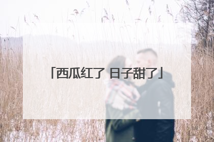 西瓜红了 日子甜了