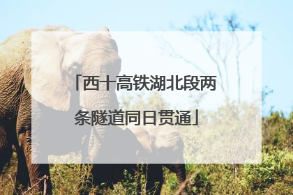 西十高铁湖北段两条隧道同日贯通