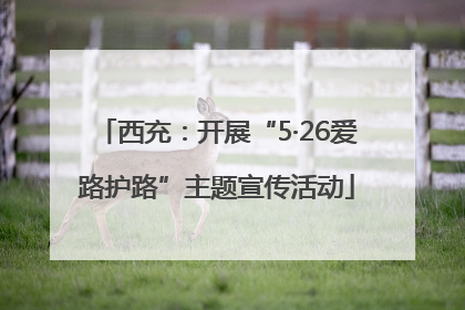 西充：开展“5·26爱路护路”主题宣传活动