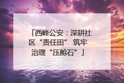 西峰公安：深耕社区“责任田” 筑牢治理“压舱石”