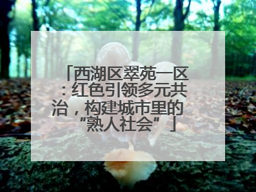 西湖区翠苑一区：红色引领多元共治，构建城市里的“熟人社会”