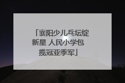 襄阳少儿乓坛绽新星 人民小学包揽冠亚季军