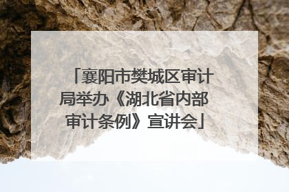 襄阳市樊城区审计局举办《湖北省内部审计条例》宣讲会