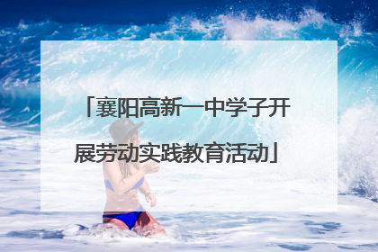 襄阳高新一中学子开展劳动实践教育活动