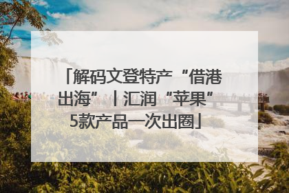 解码文登特产“借港出海”丨汇润“苹果”5款产品一次出圈