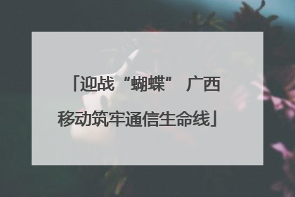 迎战“蝴蝶” 广西移动筑牢通信生命线