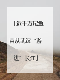 近千万尾鱼苗从武汉“游进”长江
