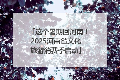 这个暑期回河南！2025河南省文化旅游消费季启动