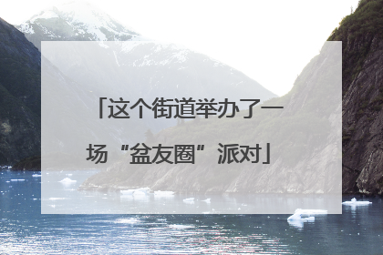 这个街道举办了一场“盆友圈”派对