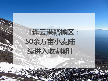 连云港赣榆区：50余万亩小麦陆续进入收割期