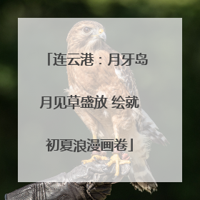 连云港：月牙岛月见草盛放 绘就初夏浪漫画卷