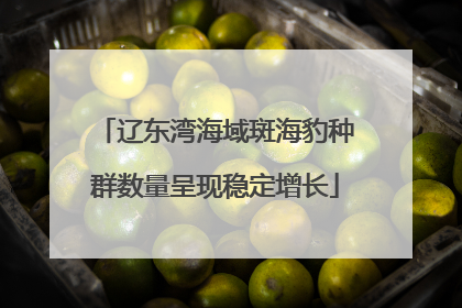 辽东湾海域斑海豹种群数量呈现稳定增长