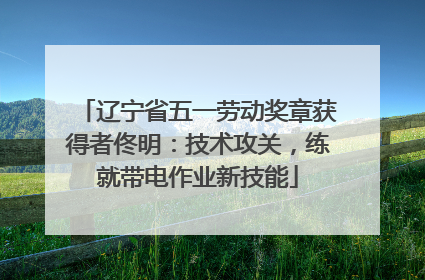 辽宁省五一劳动奖章获得者佟明：技术攻关，练就带电作业新技能
