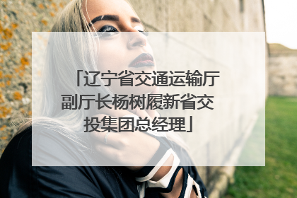 辽宁省交通运输厅副厅长杨树履新省交投集团总经理