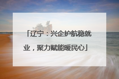 辽宁：兴企护航稳就业，聚力赋能暖民心