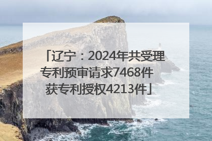 辽宁：2024年共受理专利预审请求7468件 获专利授权4213件