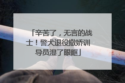 辛苦了，无言的战士！警犬退役撒娇训导员湿了眼眶