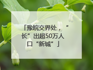 豫皖交界处，“长”出超50万人口“新城”