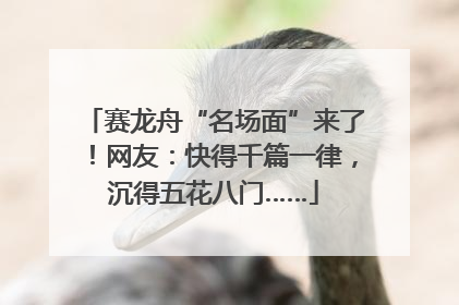 赛龙舟“名场面”来了！网友：快得千篇一律，沉得五花八门……