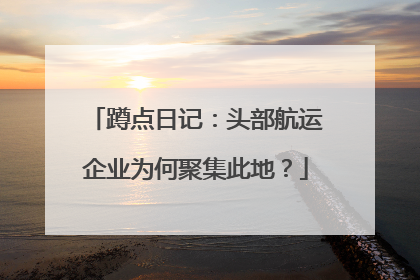 蹲点日记：头部航运企业为何聚集此地？