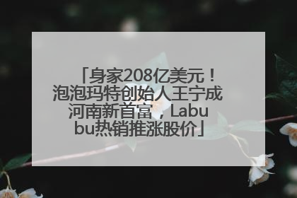 身家208亿美元！泡泡玛特创始人王宁成河南新首富，Labubu热销推涨股价