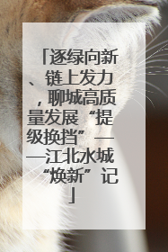 逐绿向新、链上发力，聊城高质量发展“提级换挡”——江北水城“焕新”记
